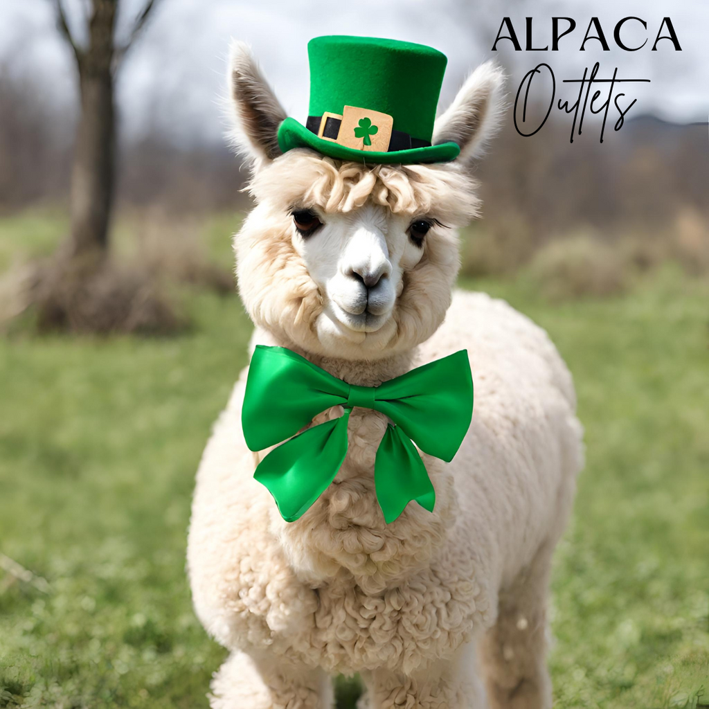 Wear Your Luck: Green Alpaca Fashion for St. Patrick's Day