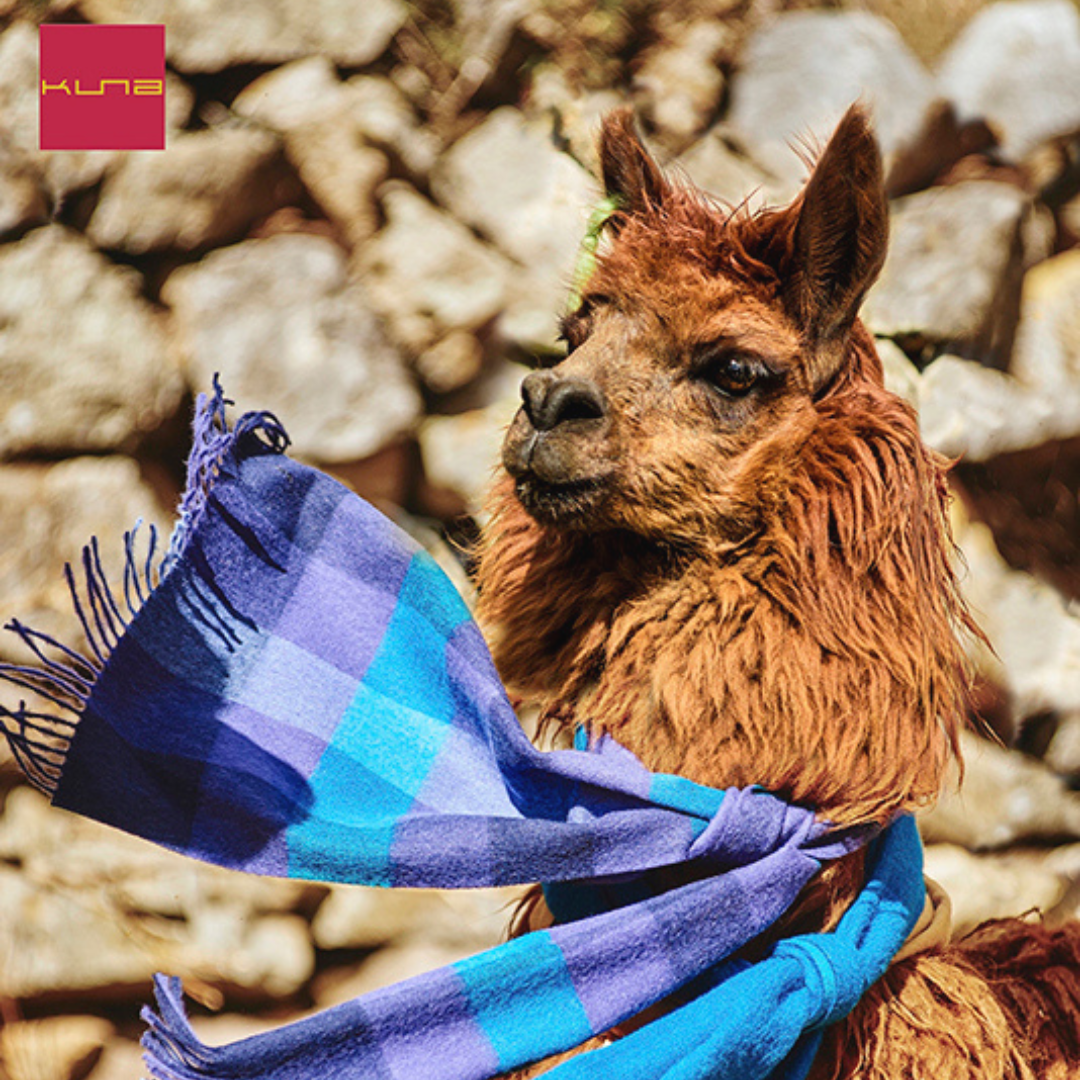 Alpaca Wool Benefits - Part 1